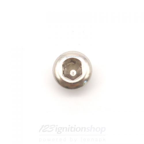 Cover screw 123ignition side housing