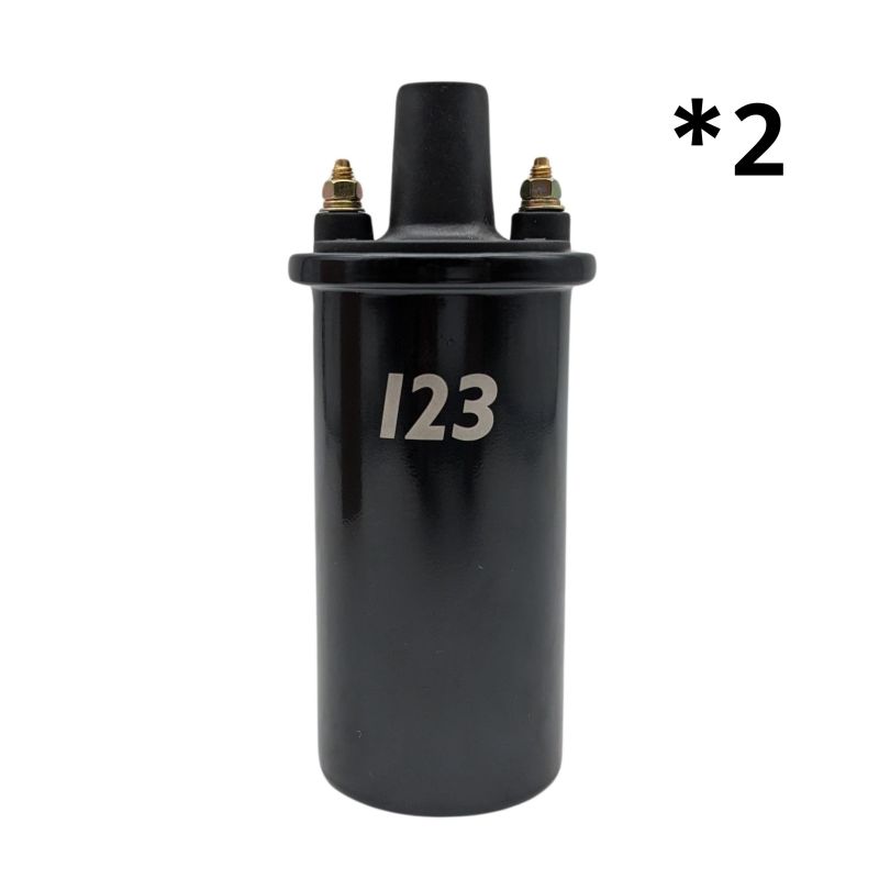 123ignition TUNE+ Lamborghini V12 (Bluetooth), + Zündspulen