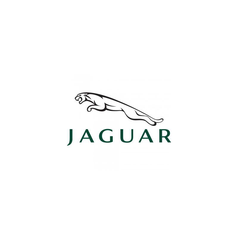 TUNE+ Jaguar